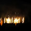 DSC06307.JPG