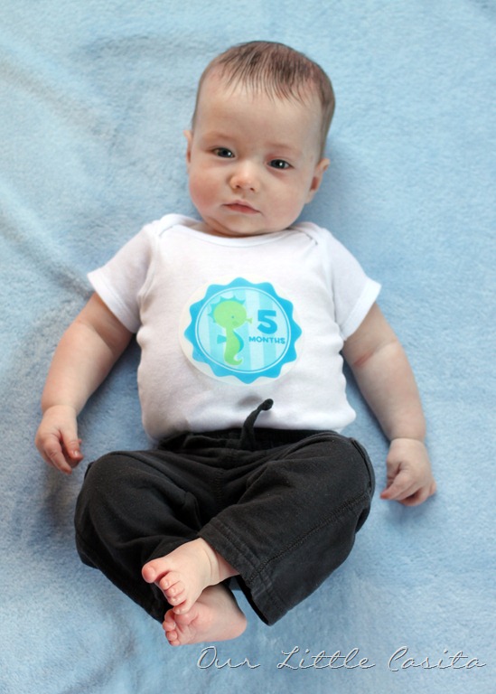 [toby5months10%255B2%255D.jpg]