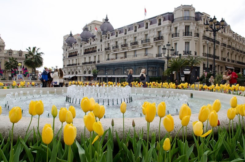 [Monte-Carlo-163.jpg]