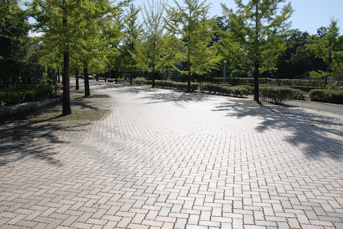 静かですね 平日だからかな？