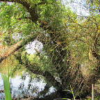 IMG_7669.JPG