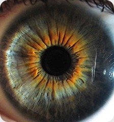 ojo ojo