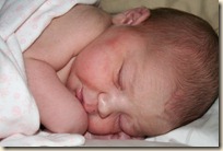 IMG_0150 IMG_0150