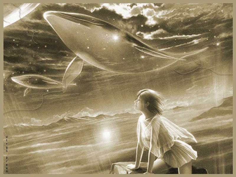 Celestial Whales, Mystery
