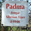 DSCF0488.JPG