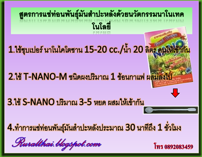 การแช่ท่อนมันสำปะหลัง การแช่ท่อนมันสำปะหลัง