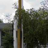 _MG_2979.jpg