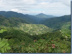 port antonio 007