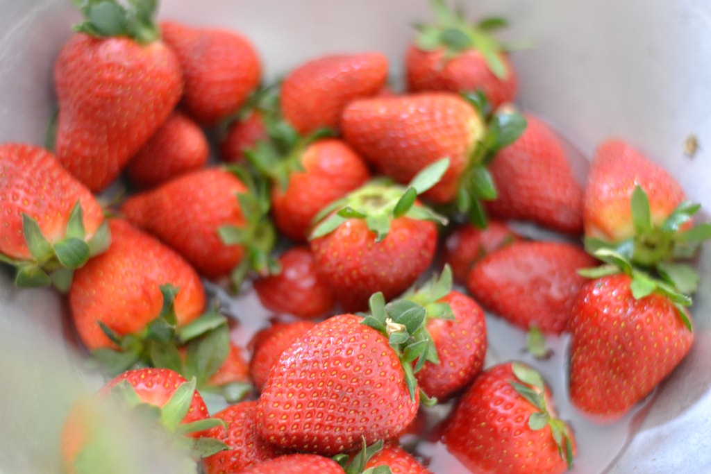 [DSC_0173%255B3%255D.jpg]