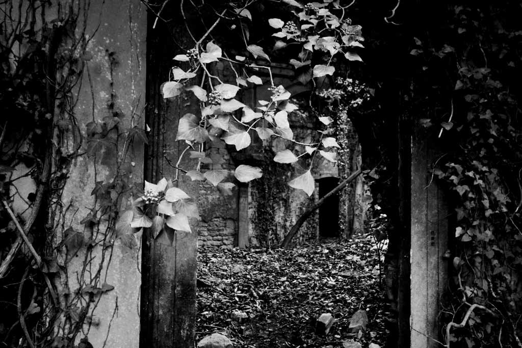 [Nettleham-Hall-18%255B3%255D.jpg]