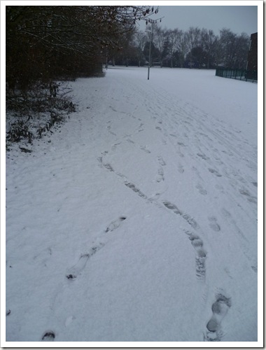 footprints_in_the_snow_by_glitz0101-d35es6z