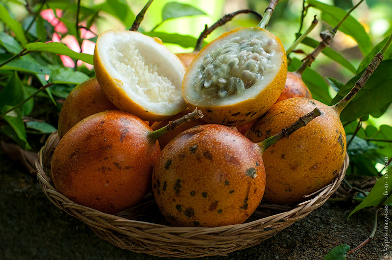 Маракуйя (Marakujya), он же Страстоцвет съедобный, или Пассифлора съедобная, или Гранадилла пурпурная Маракуйя (Marakujya), он же Страстоцвет съедобный, или Пассифлора съедобная, или Гранадилла пурпурная