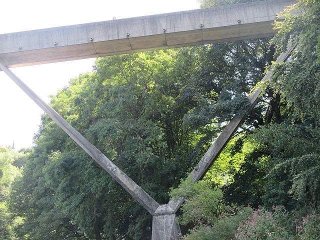 20140723 (8) (Small) 20140723 (8) (Small)