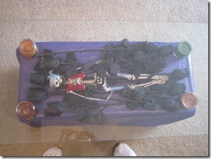 IMG_4545 IMG_4545