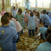 ALIM0695.JPG