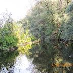 DSCN4463.JPG