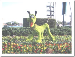 Florida vacation Epcot topiary pluto