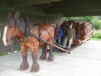 IMG_7213 IMG_7213