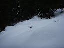PA220058.JPG