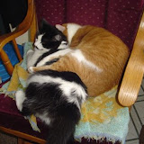 Tink and Charlie.