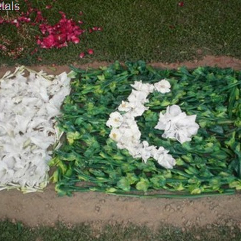 Pakistan Flag Created with Rose Flowers