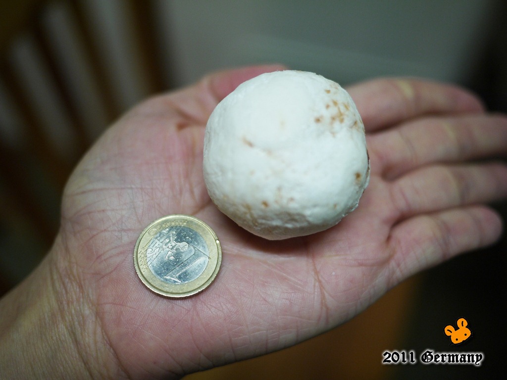 [P1200880%255B15%255D.jpg]