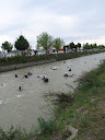 IMG_4149.jpg