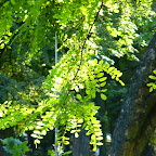 P1000659.JPG