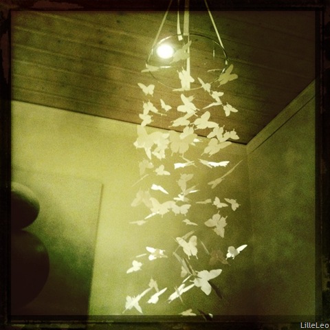[IMG_0556%255B4%255D.jpg]