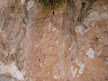 cave paintings