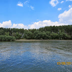 IMG_5554.JPG