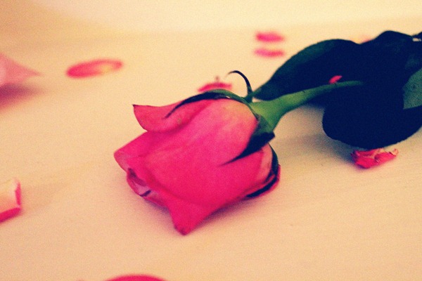 [IMG_4116_resize_12.jpg]