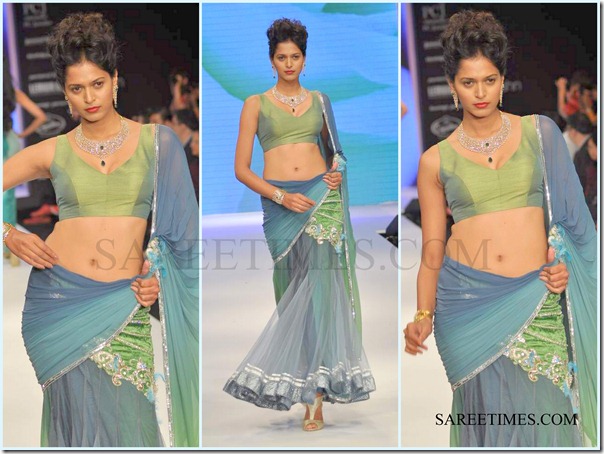 Jashn_IIJW_Saree (8)
