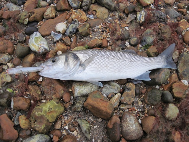 [IMG_0663%255B6%255D.jpg]