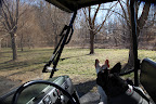 Drive a little further so we can get a better look.
