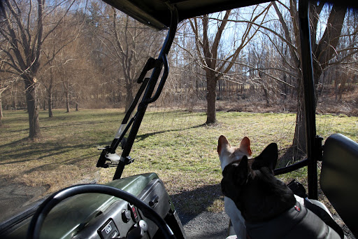 Drive a little further so we can get a better look.