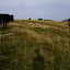 DSC00613.jpg