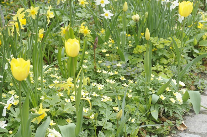 20120430_093458
