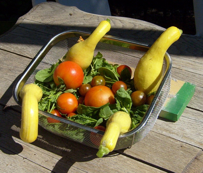 [lunch%2520before%255B6%255D.jpg]