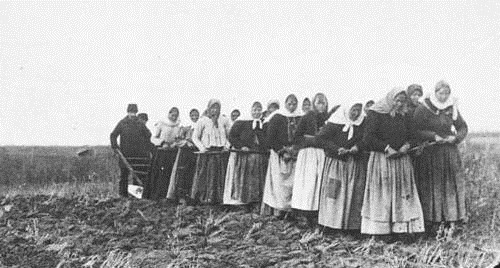 [1897farming4.jpg]