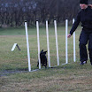 Billeder - Klubmesterskab november 2010