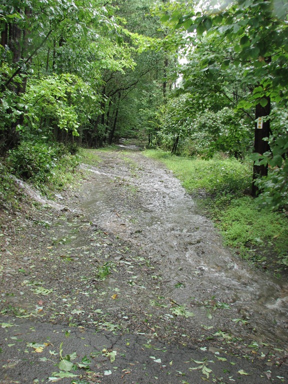 [IMG_74247.jpg]