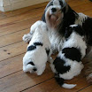 DSCN0162.JPG