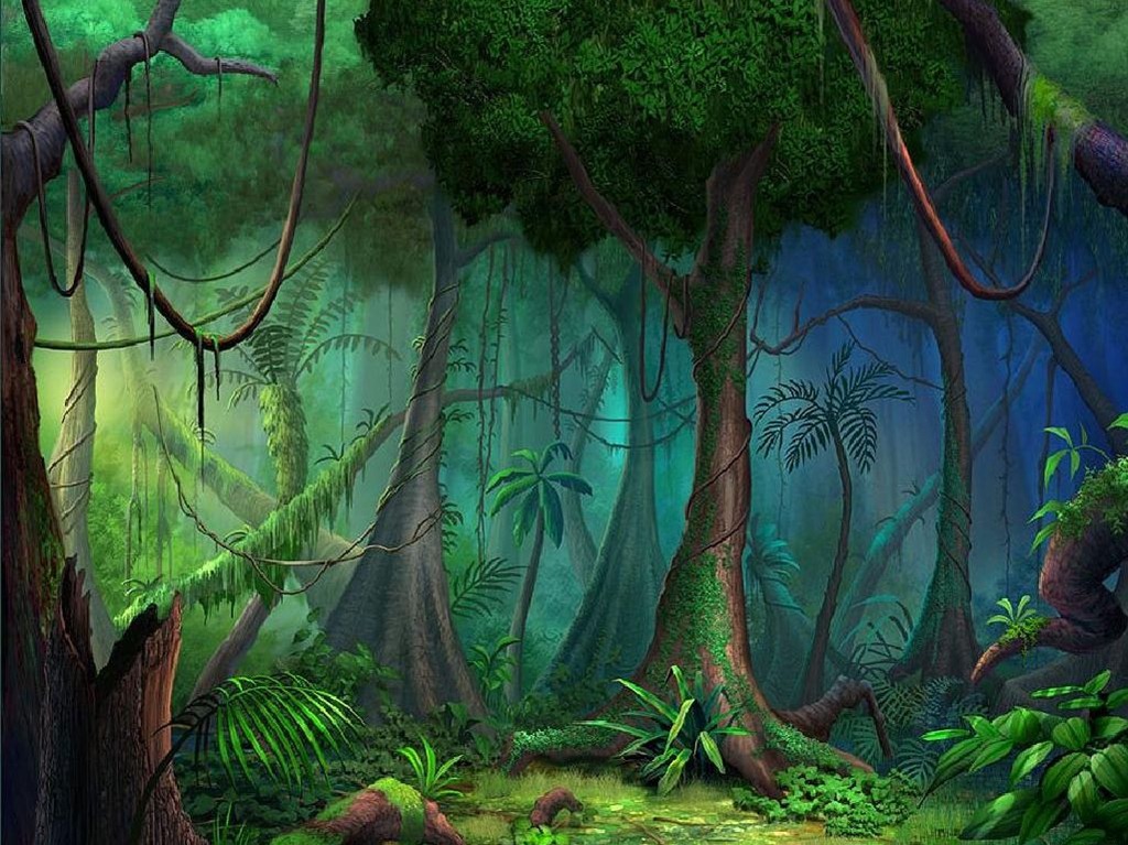 [4284floresta%255B3%255D.jpg]