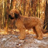 Abi - DSC_0568.jpg
