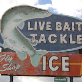 "Live Bait" - copyright David J. Thompson