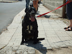 DSCF2919.JPG