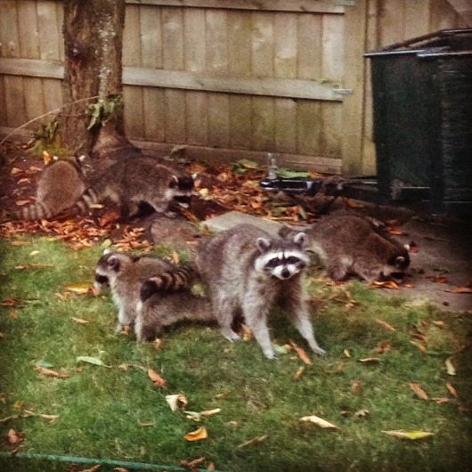 [IMG_0255%255B5%255D.jpg]