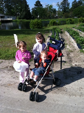 [IMG_4035%255B3%255D.jpg]