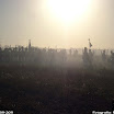 Albuera 1811-2011 PiotrZurek-892.jpg